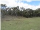 466 Caddigat Rd, Dry Plain NSW 2630