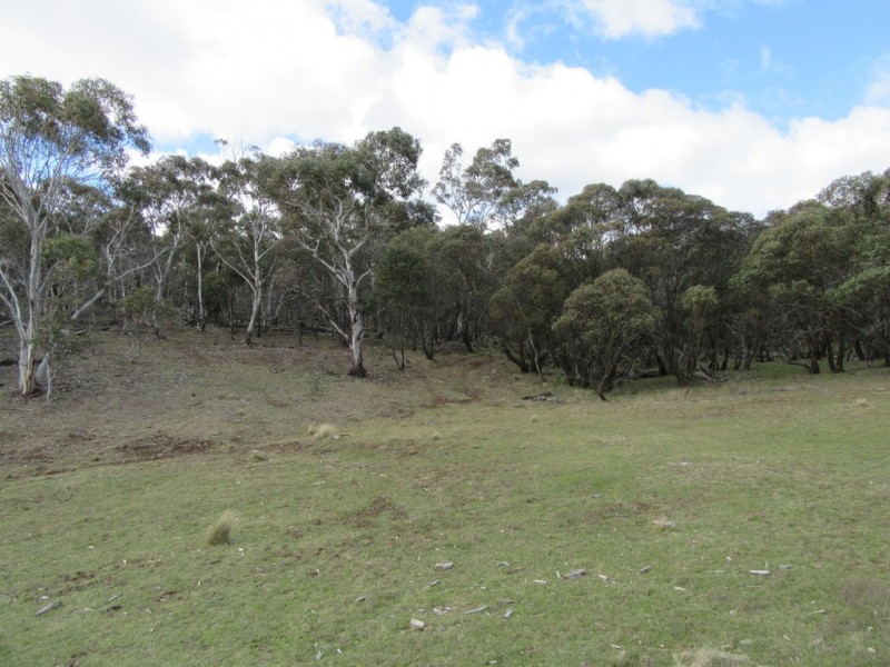 466 Caddigat Rd, Dry Plain NSW 2630
