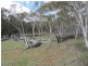 466 Caddigat Rd, Dry Plain NSW 2630