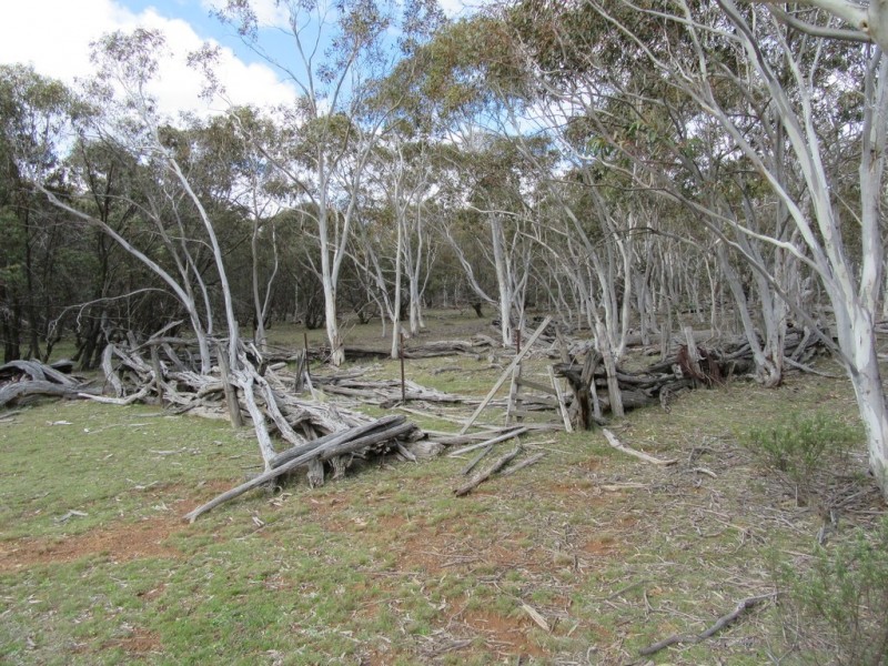 466 Caddigat Rd, Dry Plain NSW 2630
