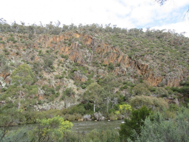 466 Caddigat Rd, Dry Plain NSW 2630