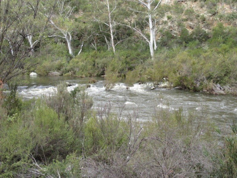 466 Caddigat Rd, Dry Plain NSW 2630