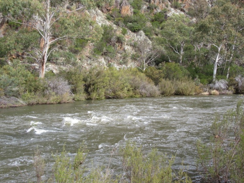 466 Caddigat Rd, Dry Plain NSW 2630