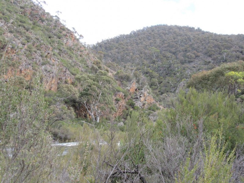 466 Caddigat Rd, Dry Plain NSW 2630