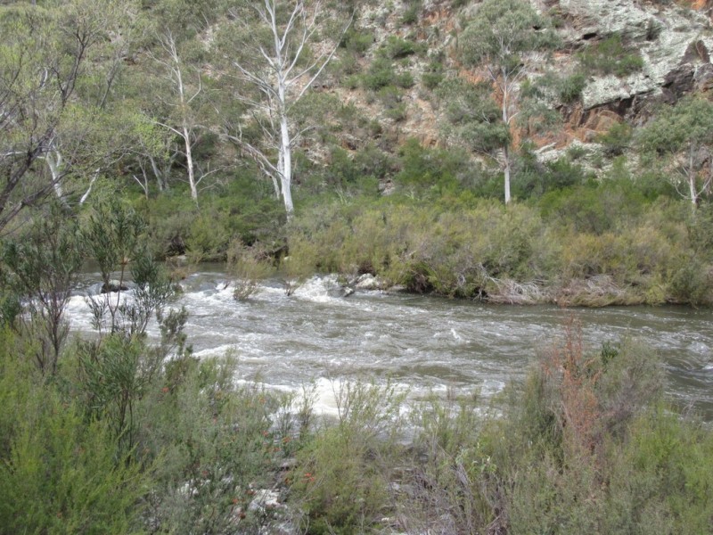 466 Caddigat Rd, Dry Plain NSW 2630