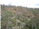 466 Caddigat Rd, Dry Plain NSW 2630
