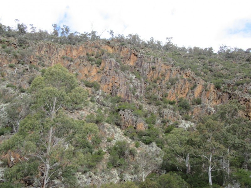 466 Caddigat Rd, Dry Plain NSW 2630