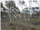 466 Caddigat Rd, Dry Plain NSW 2630