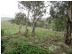 729 Kybeyan Rd, Cooma NSW 2630