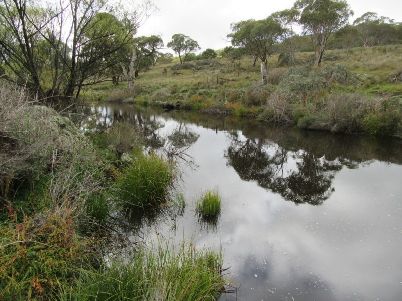 729 Kybeyan Rd, Cooma NSW 2630