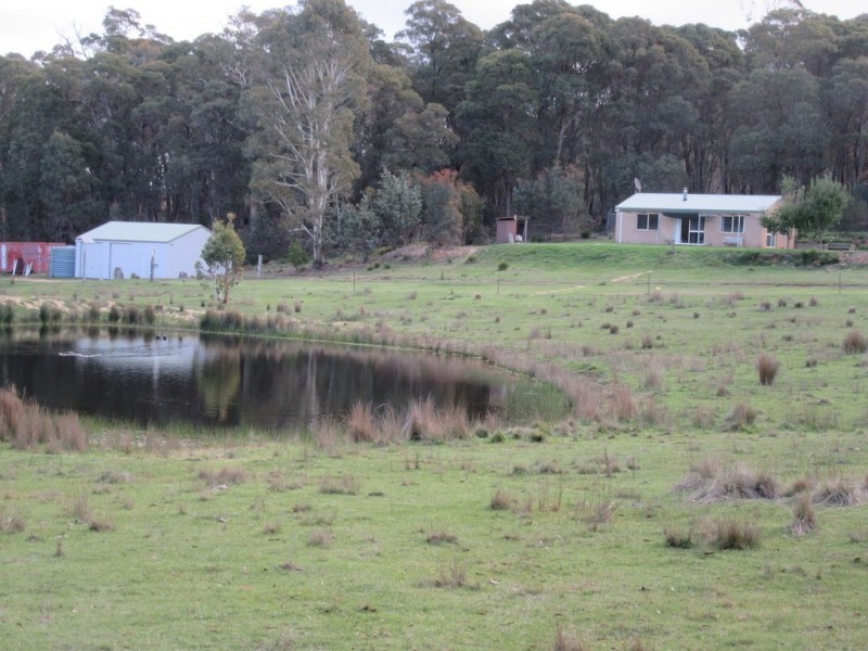 3744 Badja Rd, Countegany NSW 2630