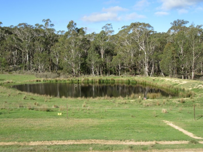 3744 Badja Rd, Countegany NSW 2630