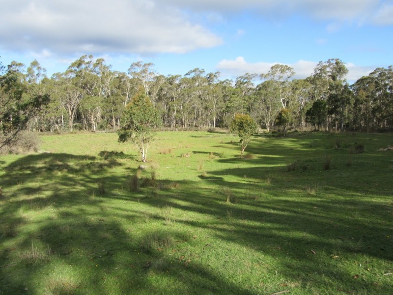 3744 Badja Rd, Countegany NSW 2630