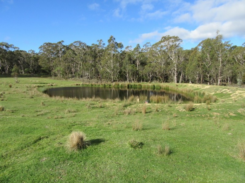 3744 Badja Rd, Countegany NSW 2630