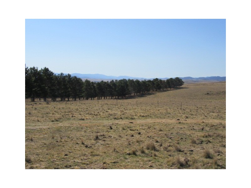 Lots 79,81,84 DP 750530 Carlaminda Rd, Cooma NSW 2630