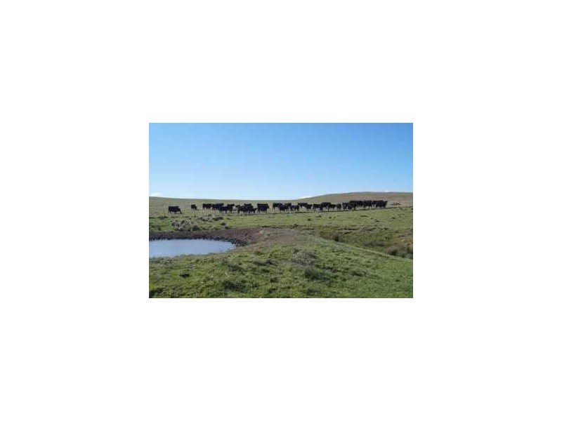 Lots 79,81,84 DP 750530 Carlaminda Rd, Cooma NSW 2630