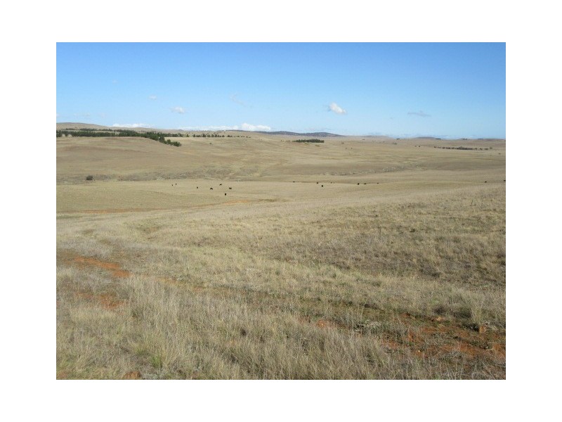 Lots 79,81,84 DP 750530 Carlaminda Rd, Cooma NSW 2630