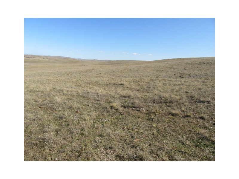 Lots 79,81,84 DP 750530 Carlaminda Rd, Cooma NSW 2630