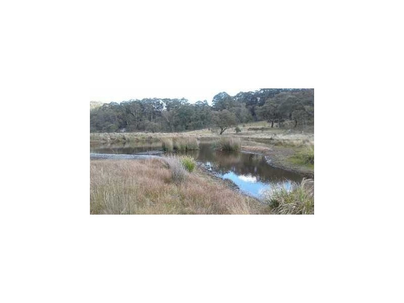 87 HIGGINS ROAD, Nimmitabel NSW 2631