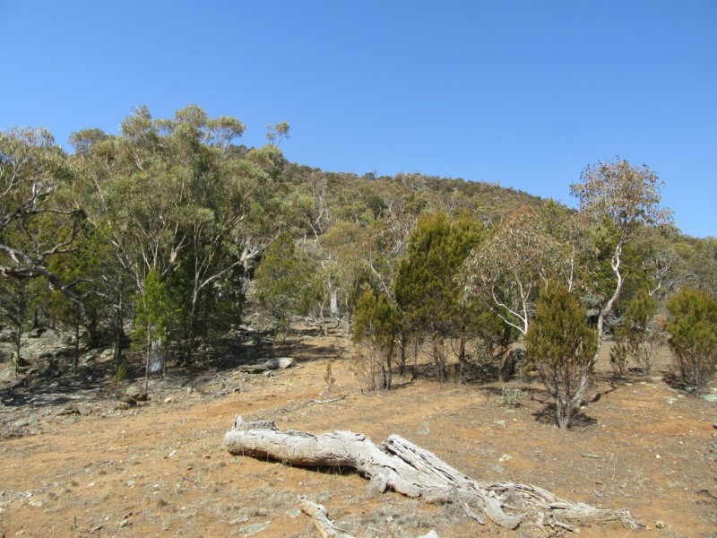 399 BILLILINGRA ROAD, BREDBO, Billilingra NSW 2630