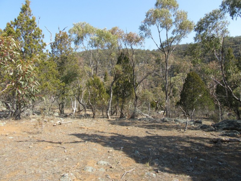 399 BILLILINGRA ROAD, BREDBO, Billilingra NSW 2630