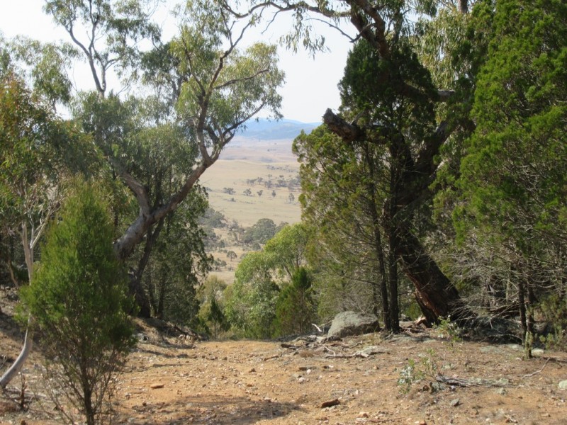 399 BILLILINGRA ROAD, BREDBO, Billilingra NSW 2630