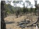 399 BILLILINGRA ROAD, BREDBO, Billilingra NSW 2630