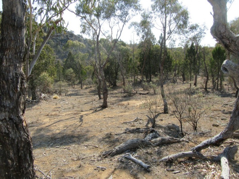 399 BILLILINGRA ROAD, BREDBO, Billilingra NSW 2630