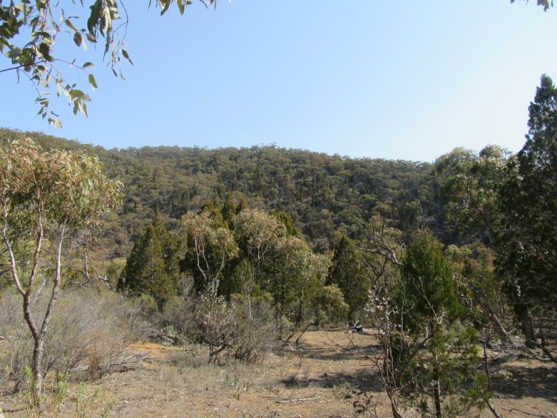 399 BILLILINGRA ROAD, BREDBO, Billilingra NSW 2630