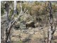 399 BILLILINGRA ROAD, BREDBO, Billilingra NSW 2630
