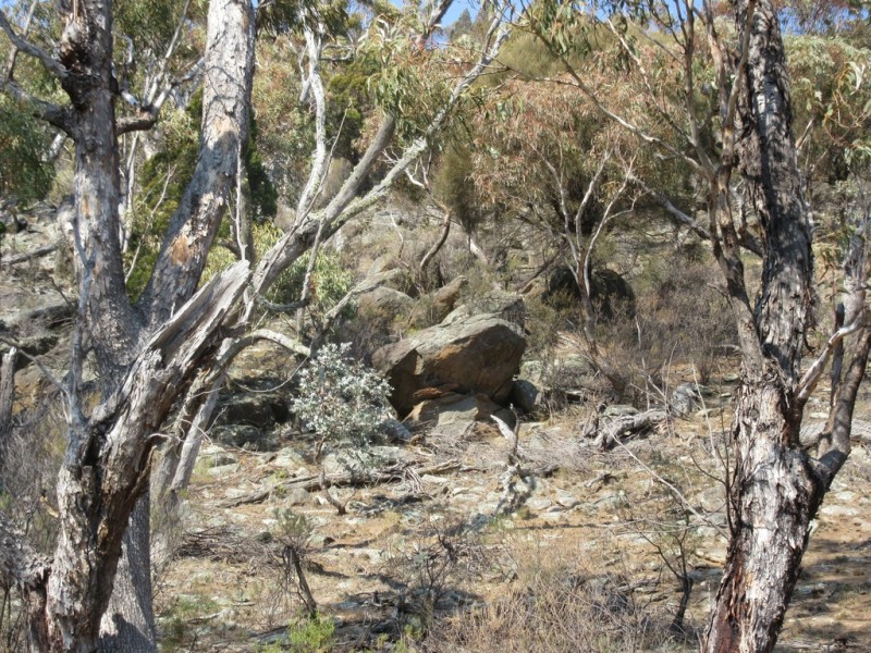 399 BILLILINGRA ROAD, BREDBO, Billilingra NSW 2630
