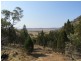 399 BILLILINGRA ROAD, BREDBO, Billilingra NSW 2630