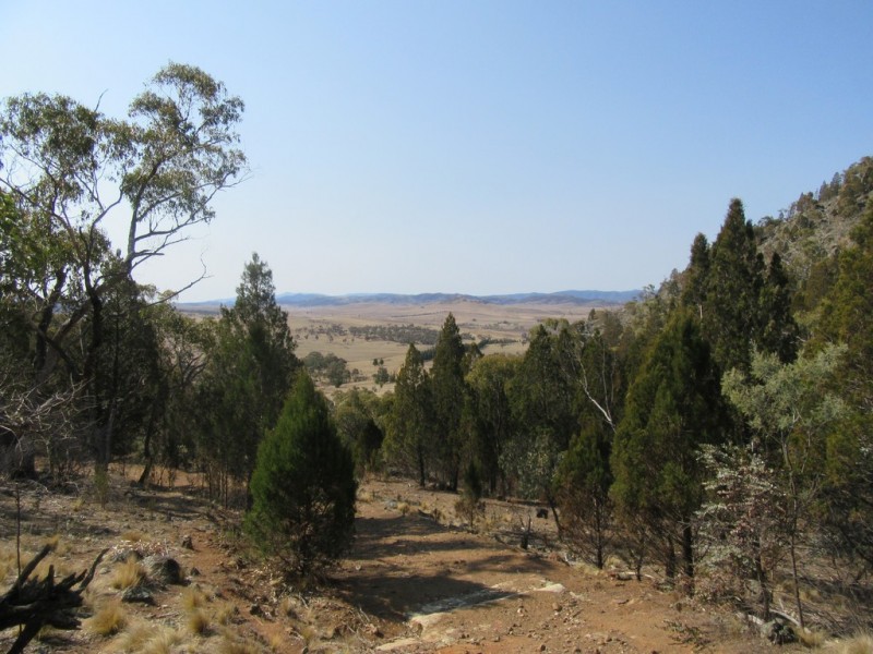 399 BILLILINGRA ROAD, BREDBO, Billilingra NSW 2630