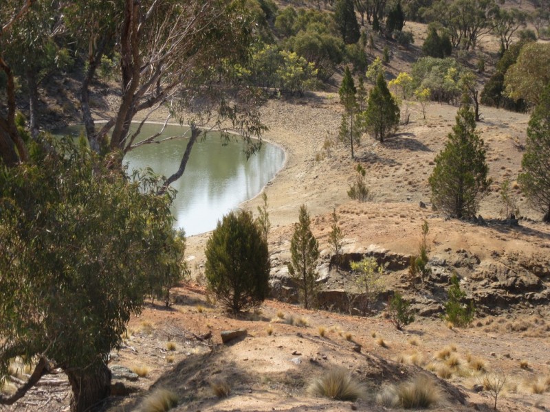 399 BILLILINGRA ROAD, BREDBO, Billilingra NSW 2630