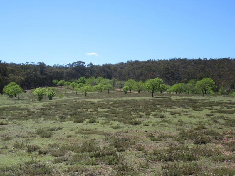 603 STEWARTFIELD ROAD, Adaminaby NSW 2629