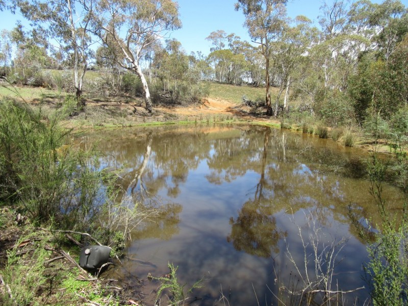 603 STEWARTFIELD ROAD, Adaminaby NSW 2629