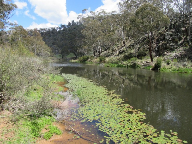 603 STEWARTFIELD ROAD, Adaminaby NSW 2629