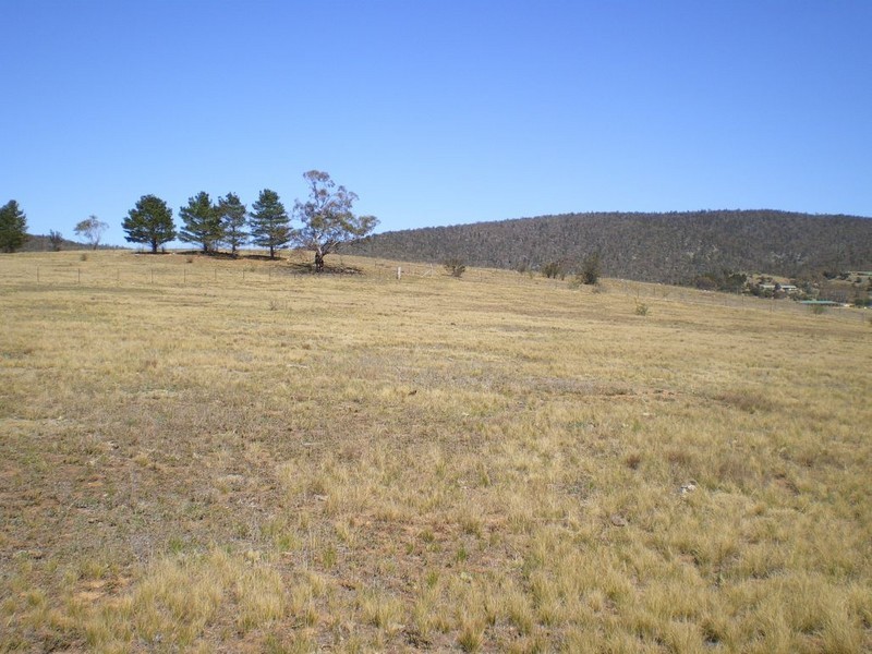 Lot 22 Binjura Rd, Bunyan NSW 2630