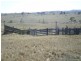 Lot 22 Binjura Rd, Bunyan NSW 2630