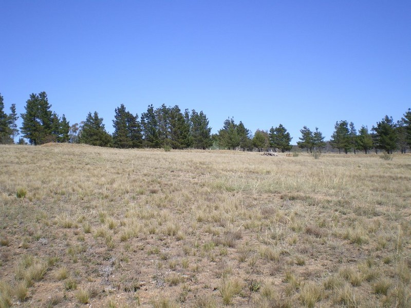 Lot 22 Binjura Rd, Bunyan NSW 2630