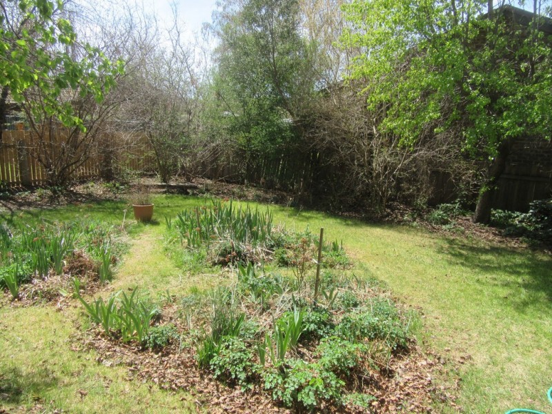 18 LAMBIE STREET, Cooma NSW 2630