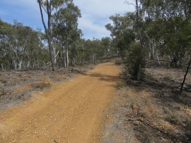 510 Parkers Rd, Peak View NSW 2630