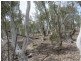 510 Parkers Rd, Peak View NSW 2630