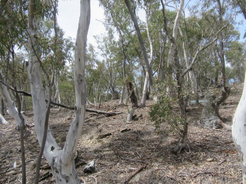 510 Parkers Rd, Peak View NSW 2630