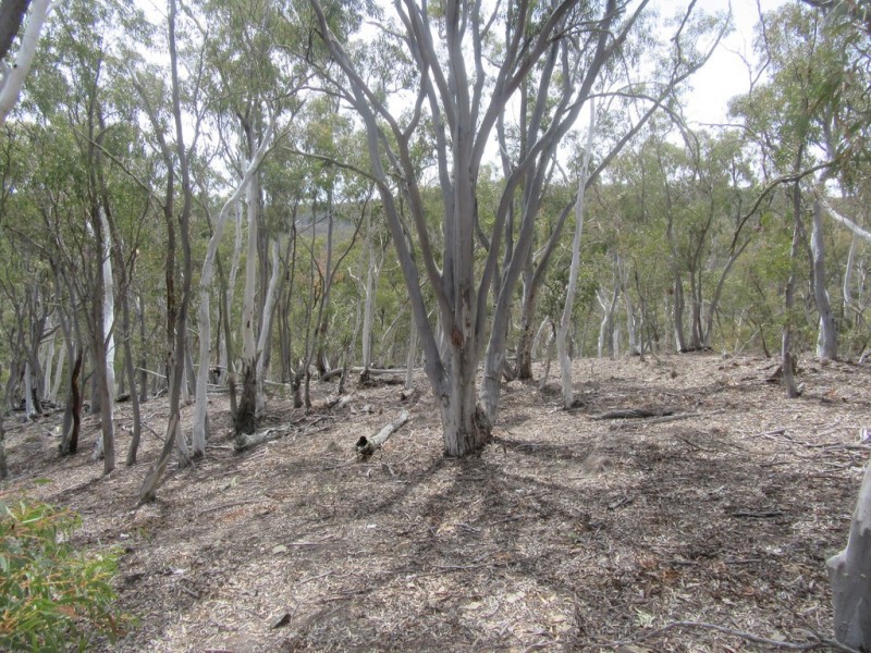 510 Parkers Rd, Peak View NSW 2630