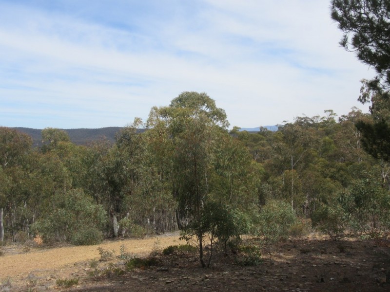 510 Parkers Rd, Peak View NSW 2630