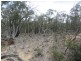 510 Parkers Rd, Peak View NSW 2630