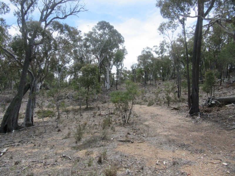 510 Parkers Rd, Peak View NSW 2630