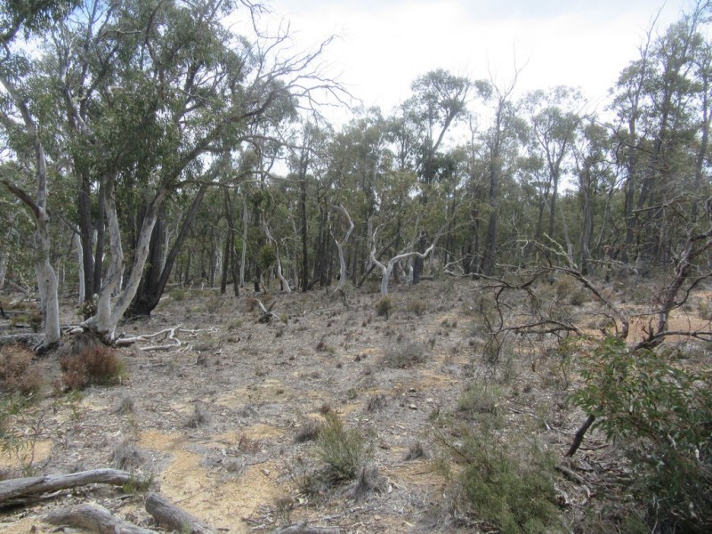 510 Parkers Rd, Peak View NSW 2630