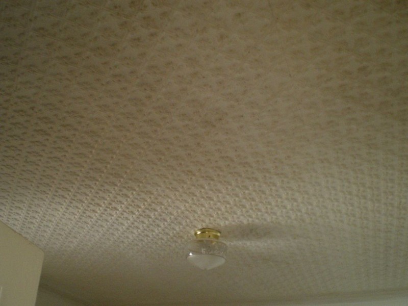 7 High St, Bombala NSW 2632